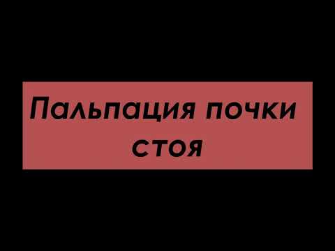 Видео: Пальпация почки стоя