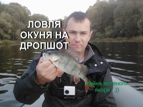 Видео: Ловля окуня на Дропшот. Можайское водохранилище.