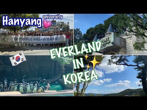 Видео: KOREA VLOG DIARY| Everland моими глазами /урок культуры от университета Ханянг |22.09.2023