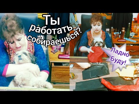 Видео: У меня новый помощник! Я без корзинки работать не могу, а они наоборот. почему причёска на бикрень?