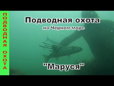 Видео: Подводная охота на Черном море с Марусей