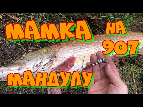 Видео: Мамка на мандулу