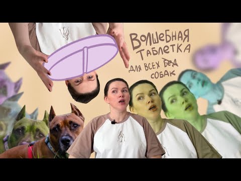 Видео: Советы, которые помогут ЛЮБОМУ владельцу собаки! Самые частые ошибки.