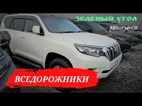 Видео: #Владивостокавторынок #ДЖИПЫ #ПАРКЕТНИКИ