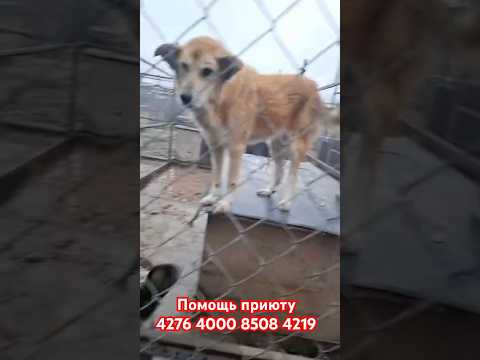 Видео: Борьба продолжается