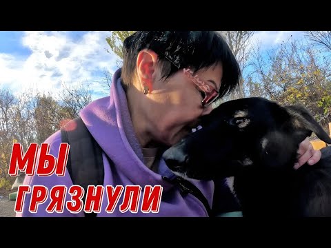 Видео: НЕ ВИДНО УКРЫТИЙ из-за МУСОРА / Передала ДЕНЬГИ на СОДЕРЖАНИЕ / Сделали ВСЁ что в НАШИХ СИЛАХ