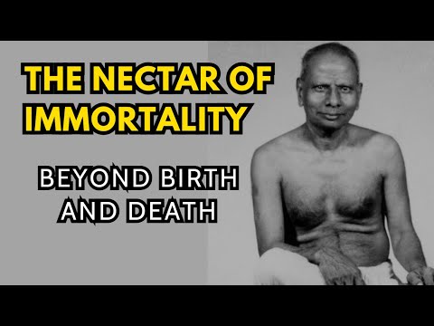 Видео: Нектар бессмертия | Глубокие учения Нисаргадатты Махараджа о вечном