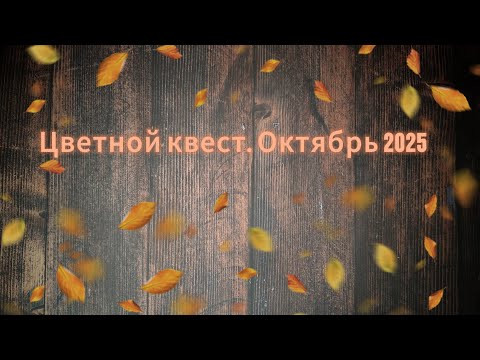 Видео: Цветной квест. Октябрь 2025 🍂🍁
