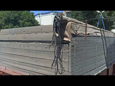 Видео: КамАЗ зерновоз. рабочий день на уборке зерна  кратко. 2. От подписки растет пиписка