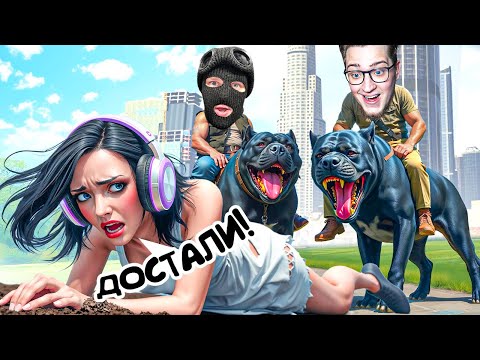 Видео: МЕСТЬ ЗА БАН! НАПУГАЛИ СТРИМЕРШУ ДО СМЕРТИ В ГТА 5 РП НАТРАВИЛИ 100 БЕЗДОМНЫХ СОБАК НА ДЕВОЧКУ! УГАР