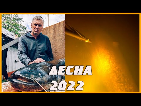 Видео: ДЕСНА / ВІДКРИТТЯ СЕЗОНУ ПОЛЮВАННЯ 2022