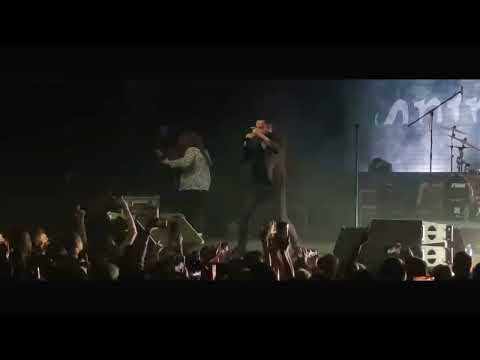 Видео: Animal ДжаZ - Live in BASE CLUB (Unofficial Fan Video), 15-04-2023