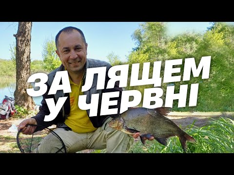 Видео: За лящем у червні: Фідерні прийоми для літньої риболовлі