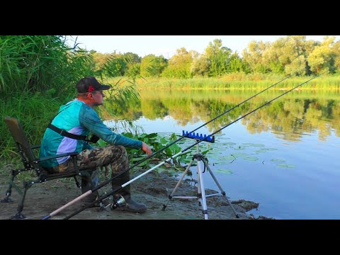 Видео: 🐟А НА СВІТАНКУ ПІШЛИ ЛЯЩІ, 🐠 ОДИН ЗА ОДНИМ. Рибалка на фідер на річці Псел.