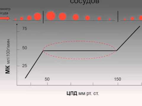 Видео: Педиатрическая нейрореанимация