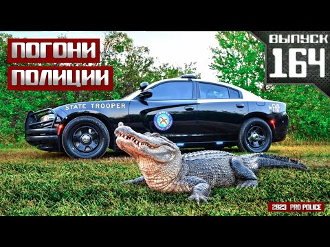 Видео: Погони полиции: Florida Highway Patrol [Выпуск 164 2024]