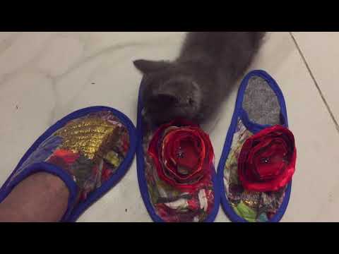 Видео: НОЛЬ ОТХОДОВ/ТАПОЧКИ ИЗ ХЛАМА/МАСТЕР КЛАСС