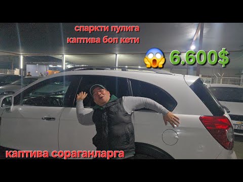 Видео: 3 ноября 2025 г.