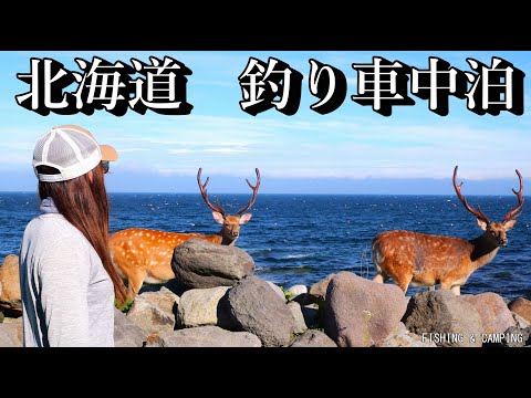 Видео: [Впечатленный! ! Хоккайдо! ! ] Я поймал красивую рыбу, похожую на драгоценный камень.