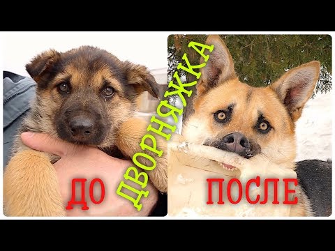 Видео: ВСТРЕЧА ГОД СПУСТЯ. ШОК!