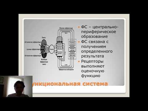 Видео: Адаптация человека