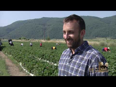 Видео: Те Победиха: Георги Доганов - направлява самолети и успешно управлява стопанство за ягоди и броколи