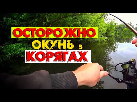 Видео: РЫБАЛКА на ОКУНЯ в ГУСТОМ КОРЯЖНИКЕ с ЛОДКИ на РЕКЕ ЛЕТОМ ! ОКУНЬ КЛЮЕТ в КОРЧАХ !