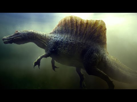 Видео: ▽ Самые большие динозавры