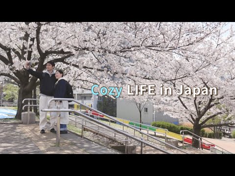 Видео: Уютная ЖИЗНЬ в Японии 🇯🇵: Любование цветением сакуры с коробкой бэнто в Токио