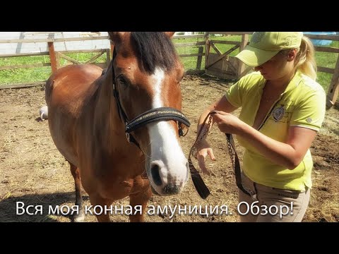 Видео: Вся моя конная амуниция! Обзор!