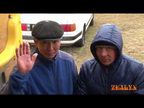 Видео: 23 03 2018 Қапал Наурыз бәйге