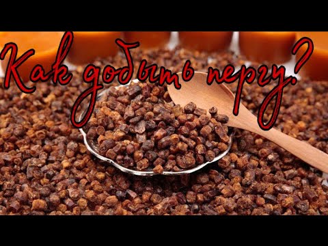 Видео: Обзор на самодельный станок по выбивке перги и технология её получения