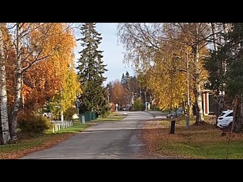 Видео: Два часа на свежем воздухе Прогулка по осенним красотам Здесь о моём сбывшемся желании#shortvideo