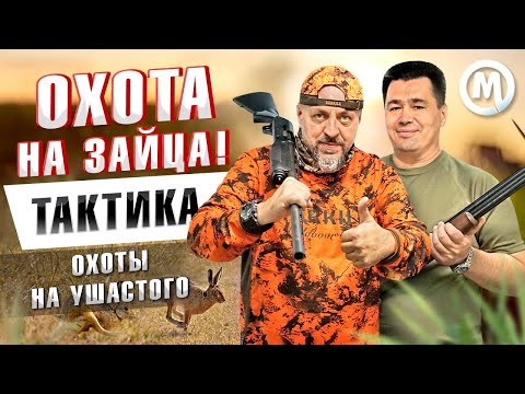 Видео: Тактика охоты на УШАСТОГО! Охота на зайца!