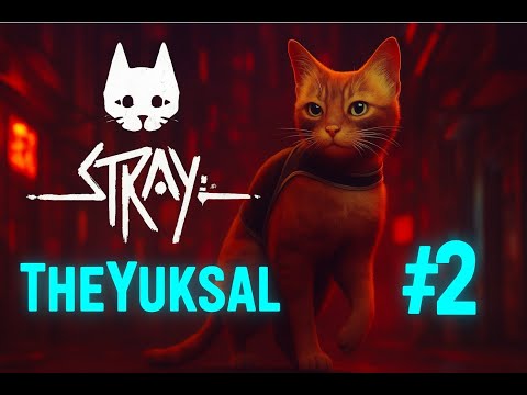 Видео: Прохождение Stray: Без комментариев - Часть2