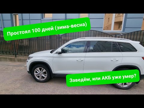 Видео: Заведется ли дизельный Кодиак после 100 дней простоя? АКБ под замену?