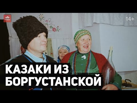 Видео: Казаки из Боргустанской | 14+