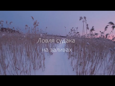 Видео: Ловля судака в заливах. Зимняя рыбалка в Финляндии. Panoptix Livescope. Рыбалка с Корейцем.