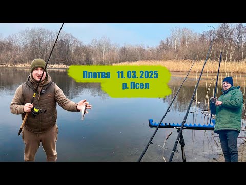 Видео: Плотва на Псле 11.03.2025