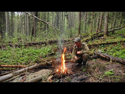 Видео: Кладоискательский поход по покинутым местам / 3ч #509
