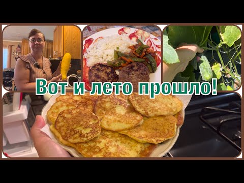 Видео: VLOG #16. Кто-то теряет, а я нашла. Без кредитов. Чуть не сгорели. Скоро буду моржом. Опять школа.