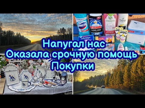 Видео: ОКАЗАЛА ПЕРВУЮ ПОМОЩЬ 🚑  ПОКУПКИ МАГНИТ-КОСМЕТИК, WB, OZON, GJ 🛍 НОВОГОДНИЕ НОВИНКИ В ГАЛАМАРТ🎄