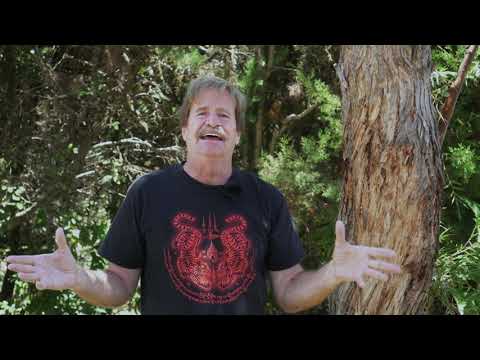 Видео: Выход на пенсию в Панаме — жизнь на сумму меньше, чем социальное обеспечение