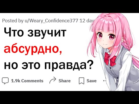 Видео: Что звучит дико, но на самом деле правда?