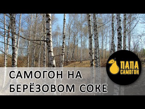 Видео: Самогон на березовом соке - два способа приготовления