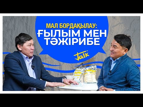 Видео: Малды ғылыми тұрғыдан дұрыс бордақылау | Малға берілетін қоспалар | Бордақылаушылардың проблемалары