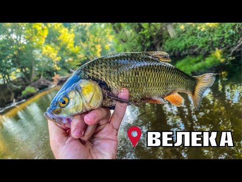 Видео: ПРИКЛЮЧЕНИЯ в СТРАНДЖА ПЛАНИНА