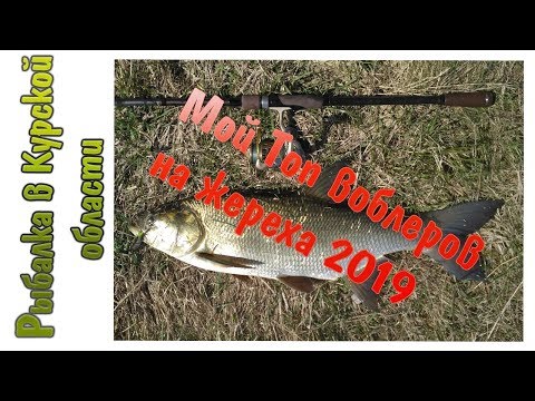 Видео: Лучшие воблеры на жереха. Мой топ 2019 года