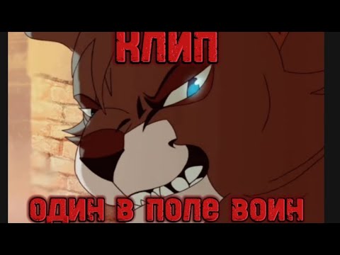 Видео: Коты воители///*Один в поле воин*/// Клип!!! warrion cats