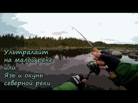 Видео: Ультралайт на малой реке или язь и окунь северной реки 18.07.2016